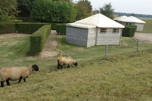 Heerlijk slapen naast de schapen!